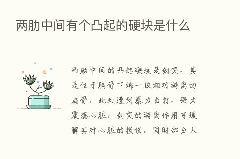 两肋中间有个凸起的硬块是什么