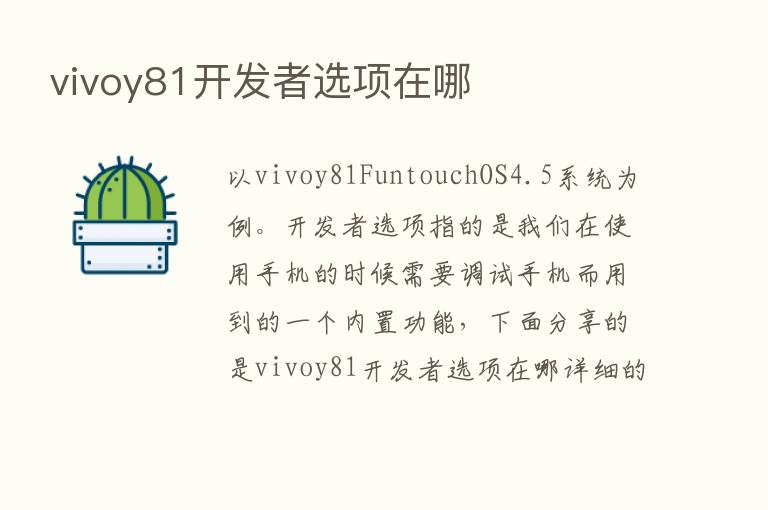 vivoy81开发者选项在哪