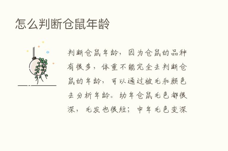 怎么判断仓鼠年龄