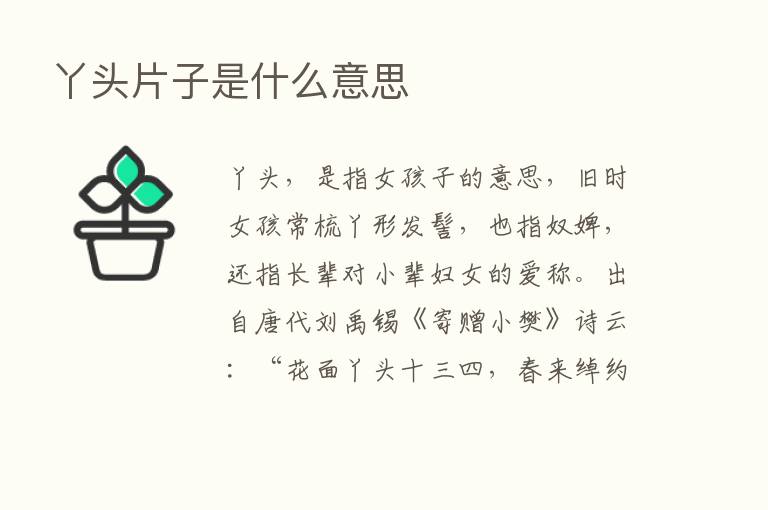 丫头片子是什么意思