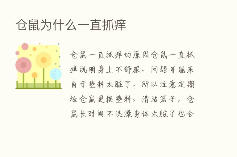 仓鼠为什么一直抓痒