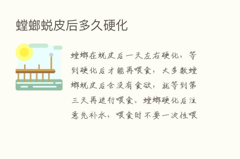 螳螂蜕皮后多久硬化