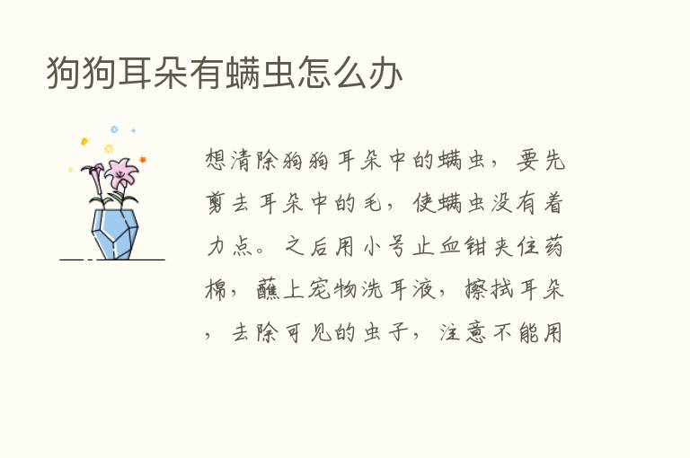 狗狗耳朵有螨虫怎么办