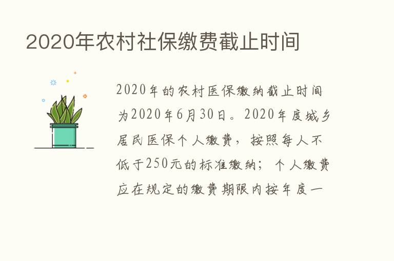 2020年农村社保缴费截止时间