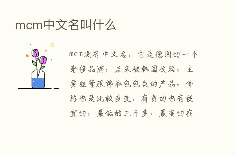 mcm中文名叫什么