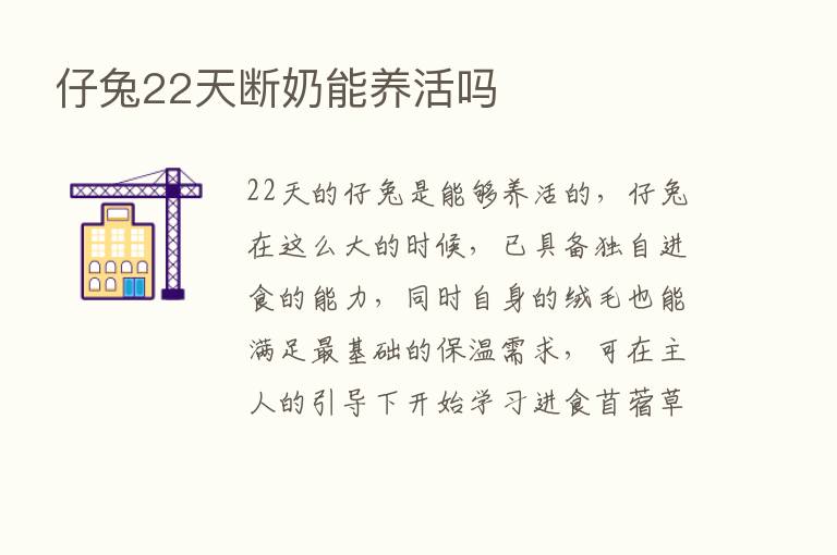 仔兔22天断奶能养活吗