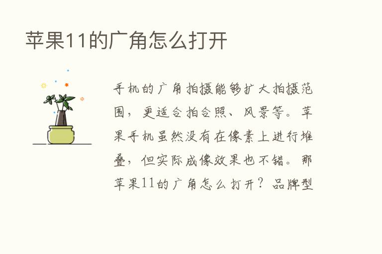 苹果11的广角怎么打开