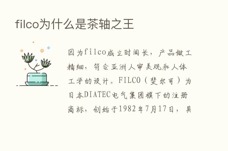 filco为什么是茶轴之王