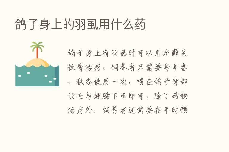 鸽子身上的羽虱用什么药