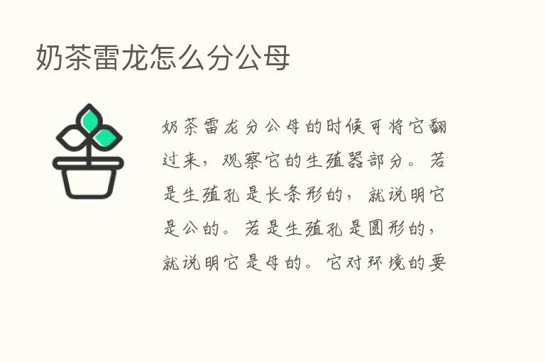 奶茶雷龙怎么分公母