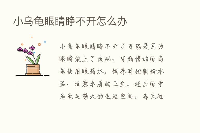 小乌龟眼睛睁不开怎么办