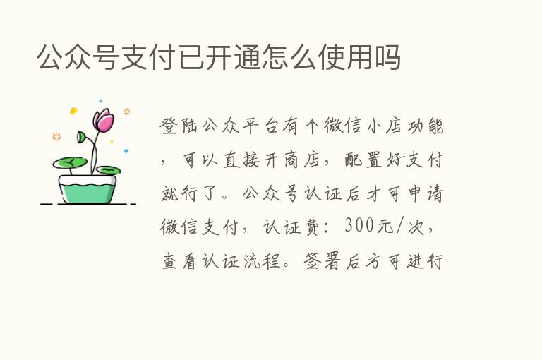 公众号支付已开通怎么使用吗