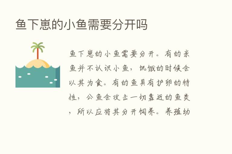 鱼下崽的小鱼需要分开吗