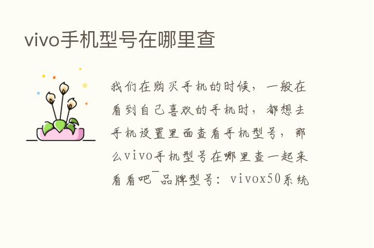 vivo手机型号在哪里查