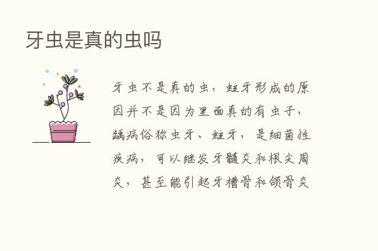 牙虫是真的虫吗