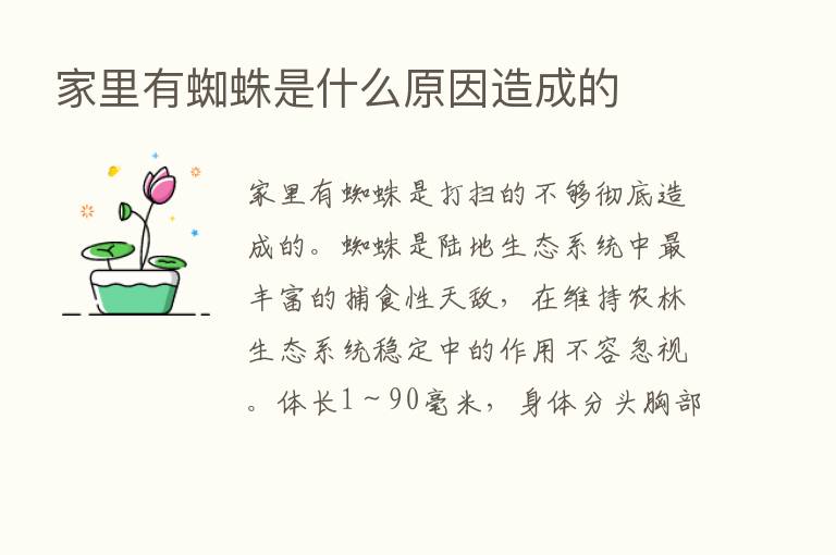 家里有蜘蛛是什么原因造成的