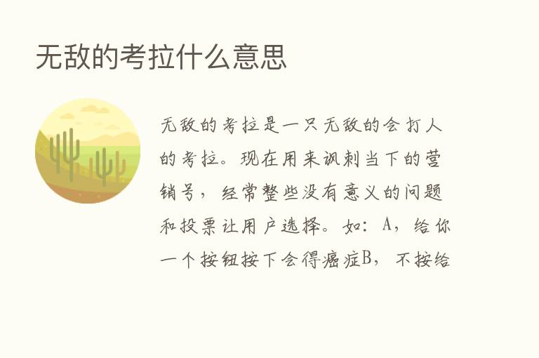 无敌的考拉什么意思