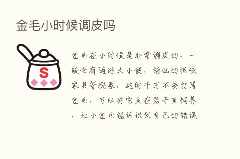 金毛小时候调皮吗