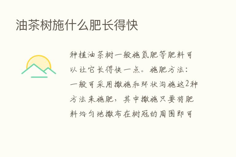 油茶树施什么肥长得快