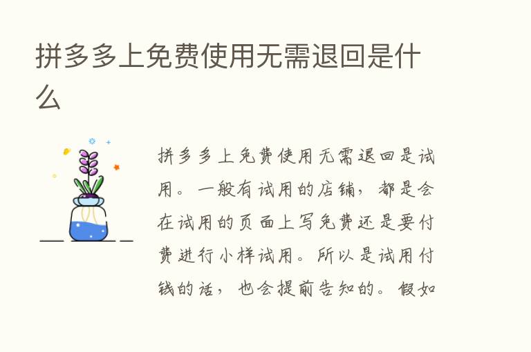 拼多多上免费使用无需退回是什么