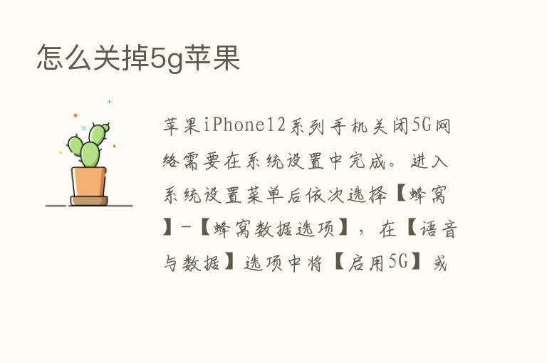 怎么关掉5g苹果