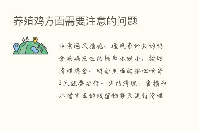 养殖鸡方面需要注意的问题