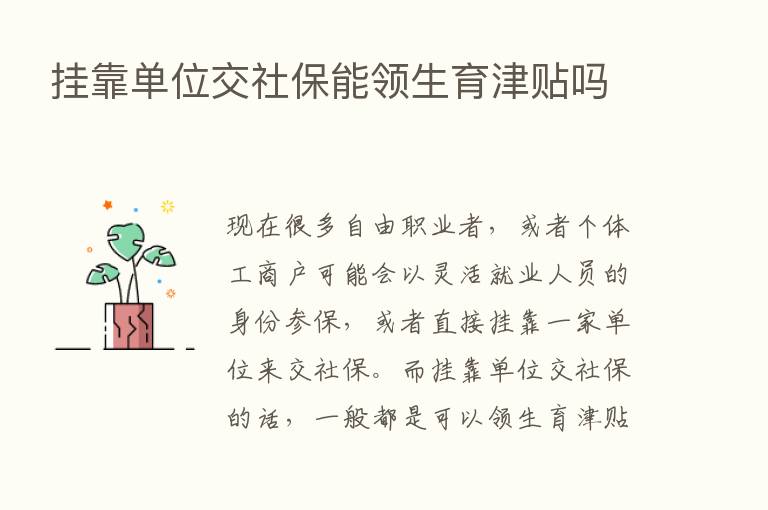 挂靠单位交社保能领生育津贴吗