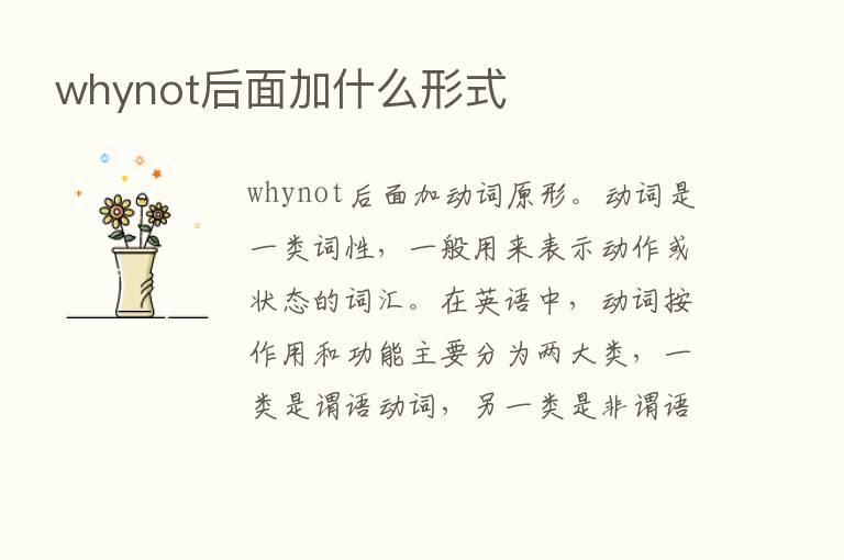 whynot后面加什么形式