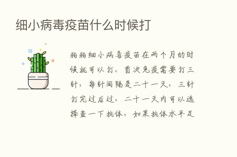 细小病毒疫苗什么时候打