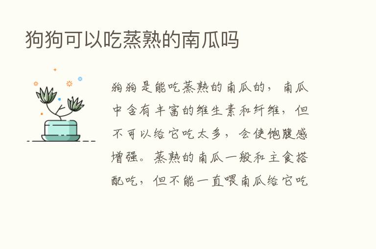 狗狗可以吃蒸熟的南瓜吗