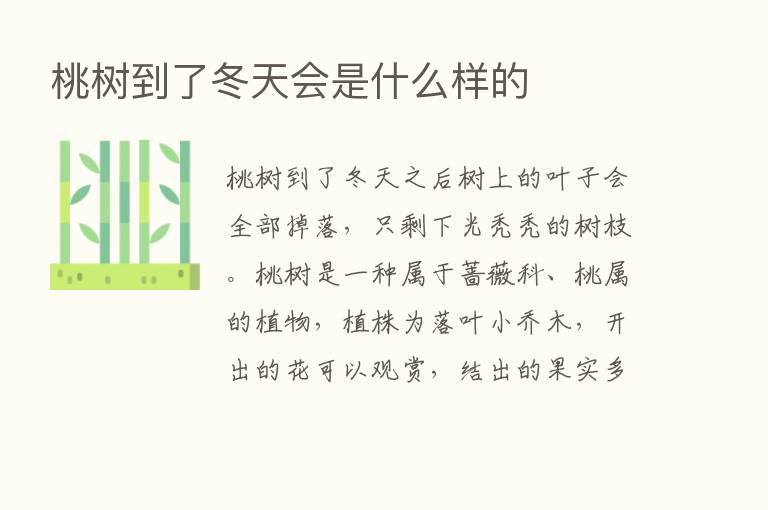 桃树到了冬天会是什么样的