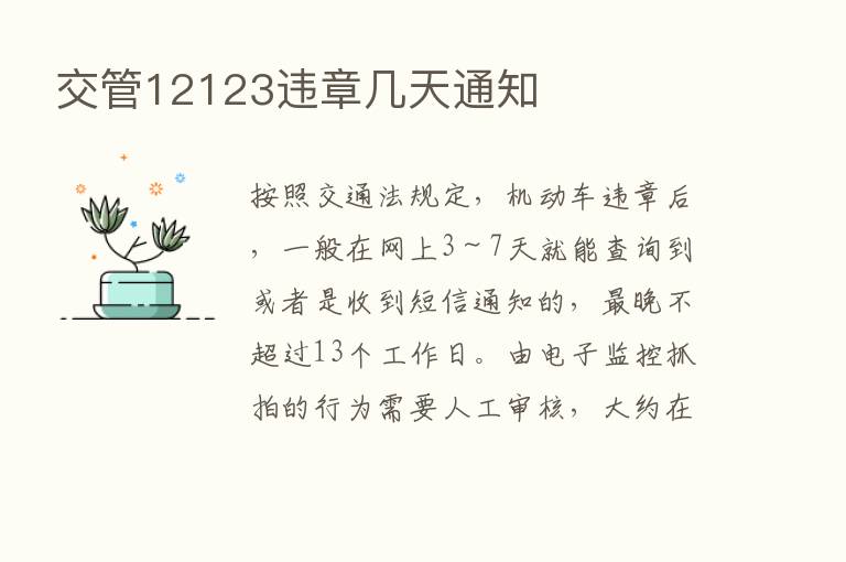 交管12123违章几天通知