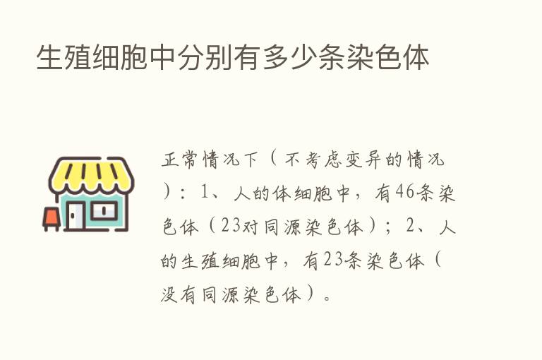 生殖细胞中分别有多少条染色体