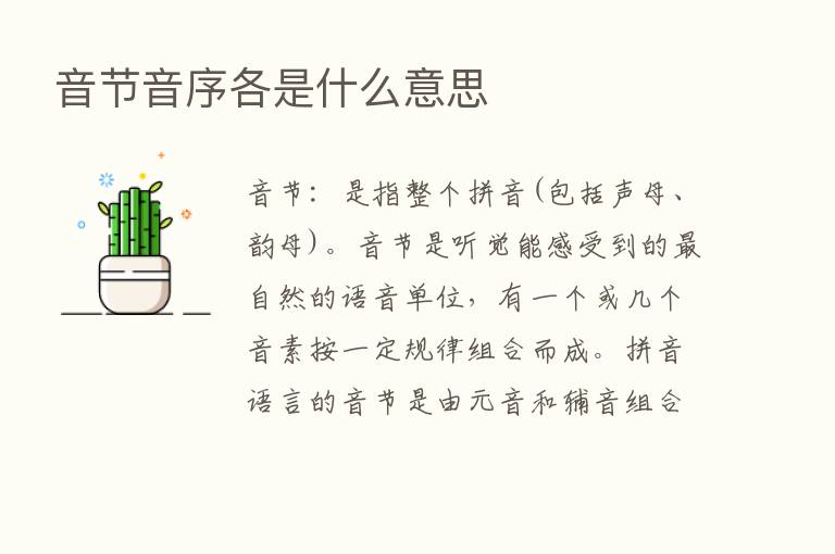 音节音序各是什么意思