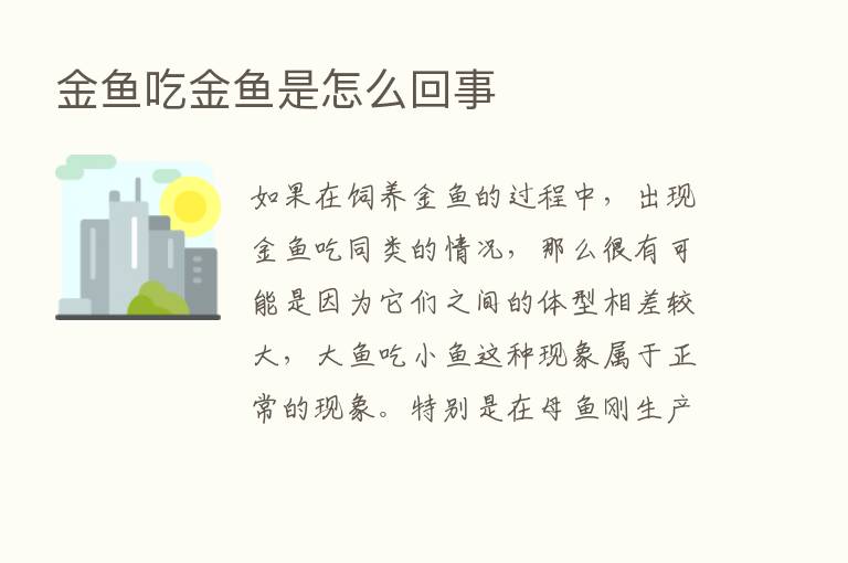 金鱼吃金鱼是怎么回事