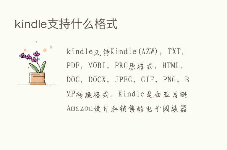 kindle支持什么格式