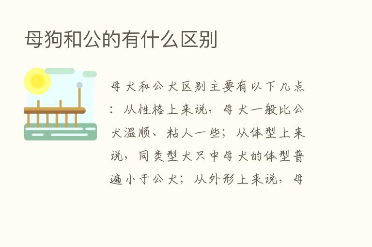 母狗和公的有什么区别