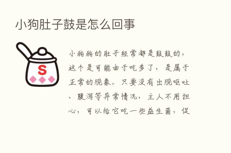 小狗肚子鼓是怎么回事