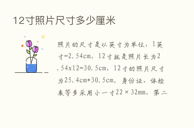 12寸照片尺寸多少厘米