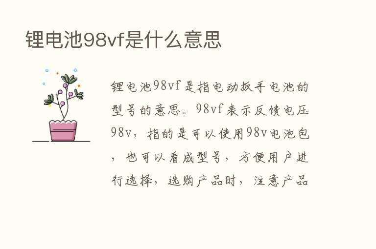 锂电池98vf是什么意思