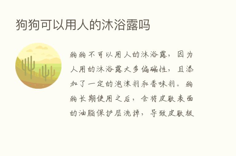 狗狗可以用人的沐浴露吗