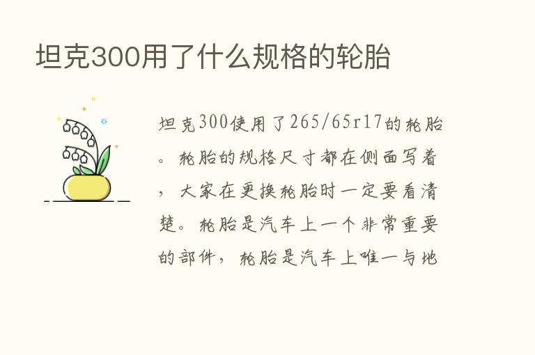 坦克300用了什么规格的轮胎