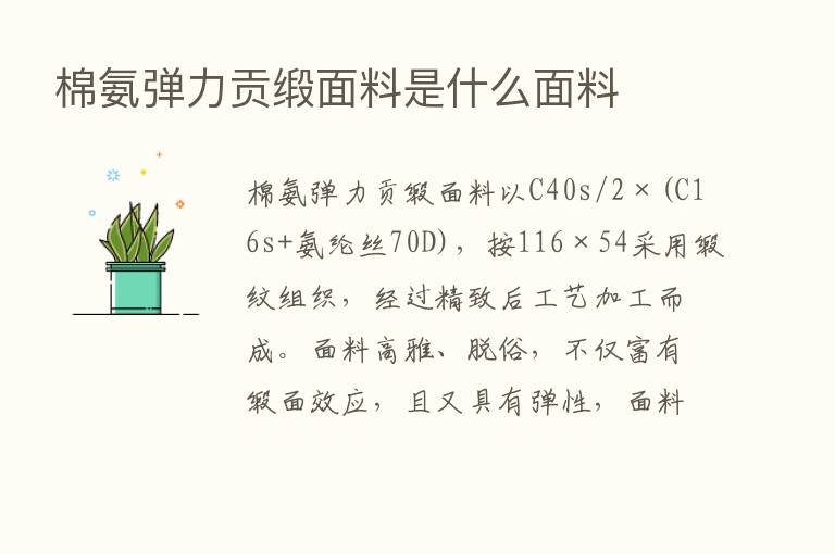 棉氨弹力贡缎面料是什么面料