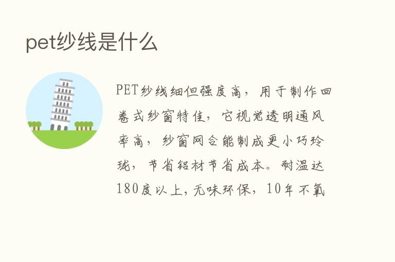 pet纱线是什么