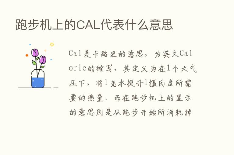 跑步机上的CAL代表什么意思