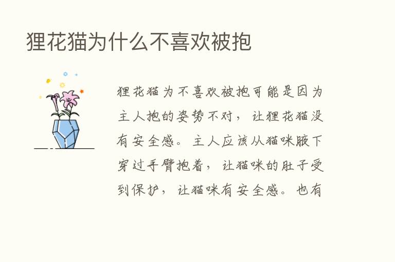 狸花猫为什么不喜欢被抱