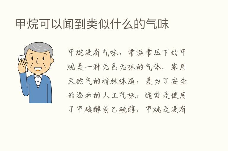 甲烷可以闻到类似什么的气味