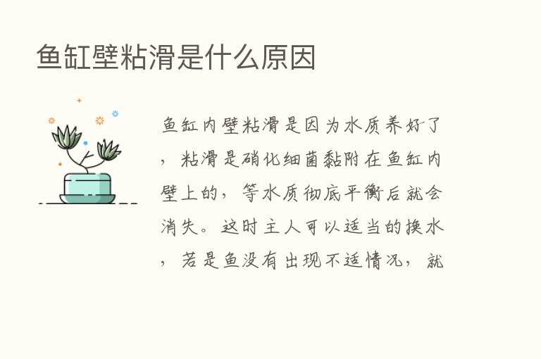 鱼缸壁粘滑是什么原因