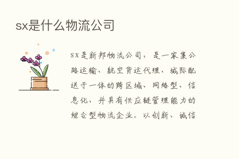 sx是什么物流公司