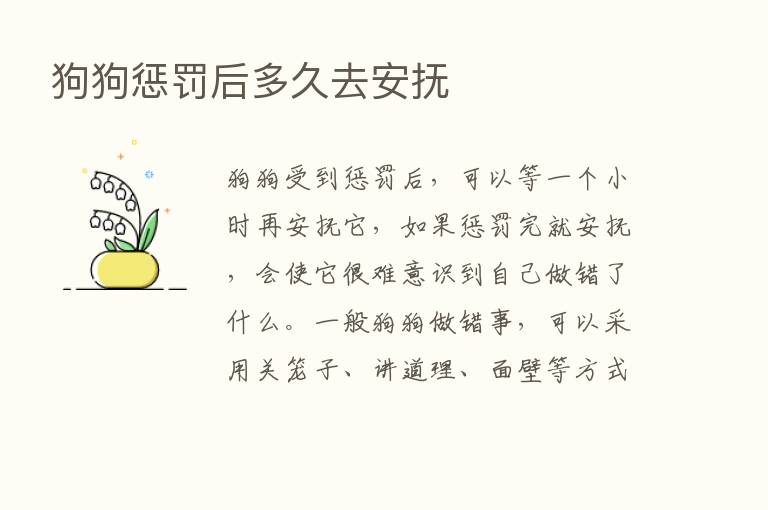 狗狗惩罚后多久去安抚